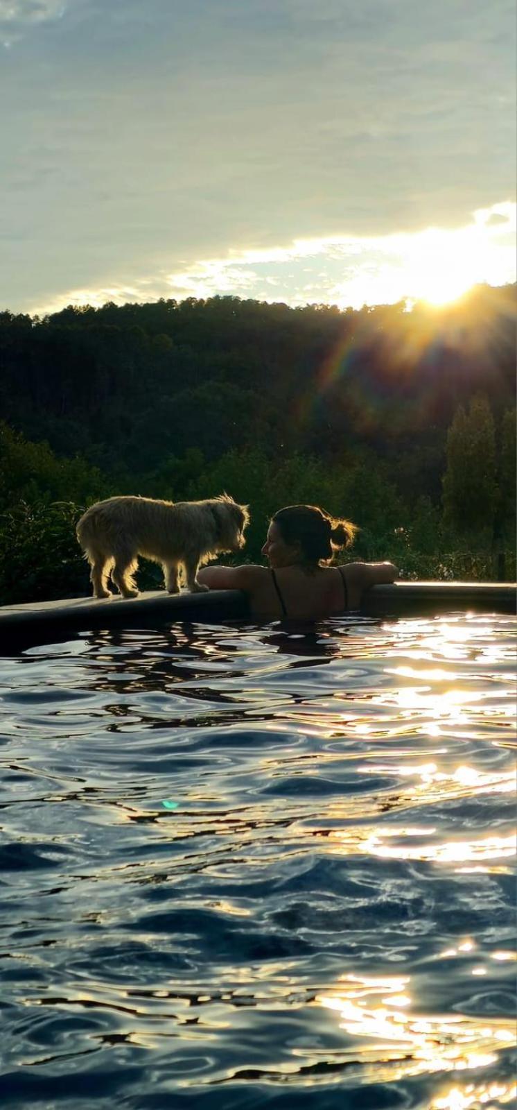 Mes Maisons: Luxury With Pool, Aircon, And Pet-friendly Amenities Holiday home Gagnieres